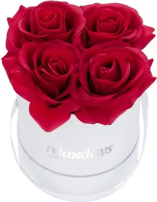 Produktbild von Weiße runde Rosenbox mit 4 Rosen