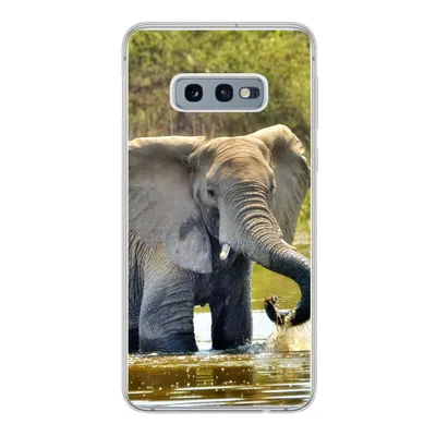 Produktbild von MuchoWow® Handyhülle Schutzhülle Hülle für Samsung Galaxy S10e Elefant - Wasser - Tiere - Natur Silikon Softcase Handy Hülle - Handy