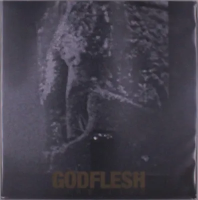 Immagine prodotto di Godflesh: Pure: Dal vivo