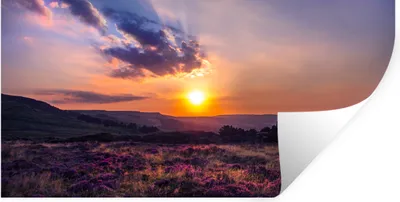 Produktbild von MuchoWow® Wandtattoo Wandsticker Wandaufkleber Sonnenuntergang in der Heidelandschaft 40x20 cm Selbstklebend und Repositionierbar - Aufkleber