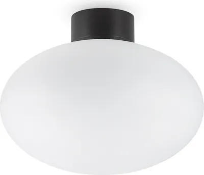 Immagine prodotto di Plafoniera Moderna Clio Alluminio Nero 1 Luce E27