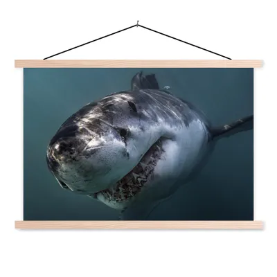 Produktbild von MuchoWow® Textilposter Hai - Weiß - Wasser 60x40 cm mit holzfarbenen Rahmen - Bilder