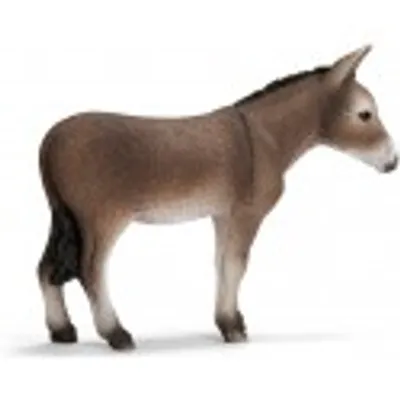 Obrázok produktu pre schleich 13644, 3 rok / roky, Hnedá, Plast