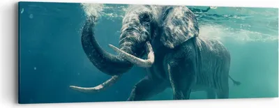 Produktbild von Bild auf Leinwand - Leinwandbild - Elefant Tier Wasser - 90x30cm - Wand Bild - Wanddeko - Wandbilder - Leinwanddruck - Bilder - Kunstdruck - Wanddekoration - Leinwand bilder - Wandkunst - AB90x30-3944