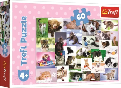 Produktbild von Trefl 60 Welt der Katze 4+
