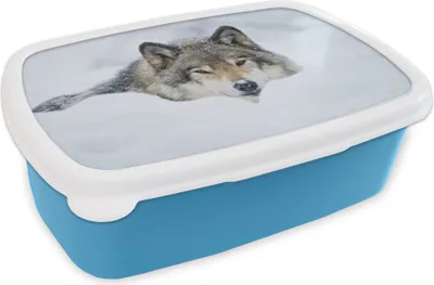 Produktbild von KitchenYeah® Lunchbox Brotzeit Brotdose 17x11 cm Wolf - Schnee - Mantel Kinder Brotzeitdose - Lunch - Kunststoff - Brotbüchse - Sandwichbox - Lunchbox für Kinder