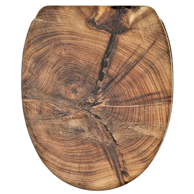 Produktbild von SANILO® WC-Sitz mit Absenkautomatik und Schnellverschluss Old Tree, Toilettendeckel direkt vom Hersteller, Klodeckel, Klobrille, WC Deckel, WC Brille