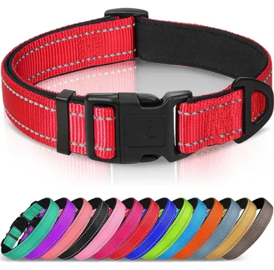 Produktbild von Reflektierendes Hundehalsband mit Sicherheitsverschluss für kleine Hunde