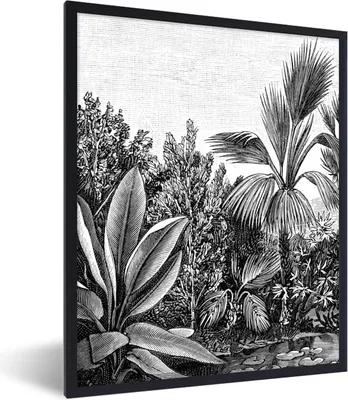 Produktbild von MuchoWow® Gerahmtes Poster Pflanzen - Natur - Gestaltung - Illustration - Ernst Haeckel 30x40 cm - Poster mit Schwarzem Bilderrahmen Wandposter Rahmen Foto Bilder - Wanddeko - Kunstdrucke
