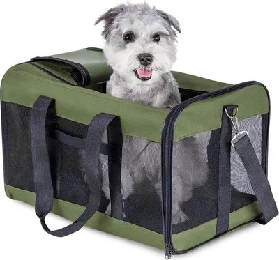 Productafbeelding van Opvouwbare honden transportbox - Ruime kattenzak voor hond en kat - Reisvriendelijke transportzak (L)
