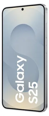 Produktbild von Samsung Galaxy S25 Enterprise Edition , 15,8 cm (6.2"), 12 GB, 256 GB, 50 MP, Android 15, Silber