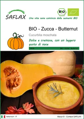 Immagine prodotto di SAFLAX  -- Zucca - Butternut - 6 semi - Cucurbita