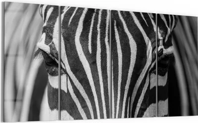 Produktbild von DEQORI Glasbild Echtglas 4x30x60 cm 'Streifenpracht' Wandbilder XXL groß