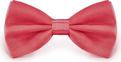 Produktbild von Fliege Lachs Größe verstellbar aus Polyester einfarbig uni schmale 12 cm