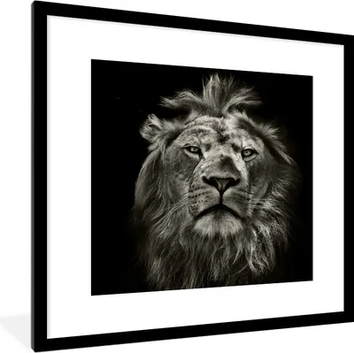 Produktbild von MuchoWow® Gerahmtes Poster Löwe - Tiere - Porträt - Wildtiere - Schwarz und weiß 40x40 cm - Poster mit Schwarzem Bilderrahmen Wandposter Rahmen Foto Bilder - Poster - Plakat im Rahmen