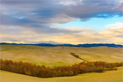Produktbild von Wallario selbstklebendes Poster - Herbst in der Toskana, Größe: 100 x 150 cm