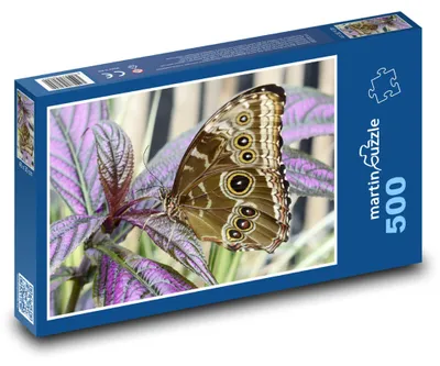 Obrázek produktu pro Puzzle 500 Motýl na barevných listech - martinpuzzle