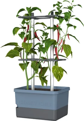 Produktbild von Gusta Garden CHARLY CHILY Štandardný samozavlažovací kvetináč, modrý, rozmery 34,5 × 27,5 × 68,7 cm