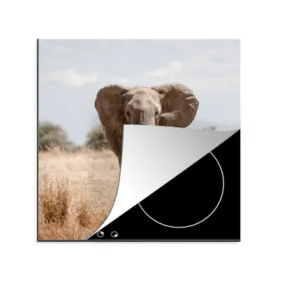 Produktbild von KitchenYeah© Herdabdeckplatte Elefant - Natur - Tiere - Porträt , 78x78cm, Küche Deko, Glaskeramikkochfeld Herdabdeckung, Abdeckplatte fùr Kochfeld