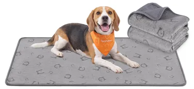 Produktbild von Feandrea Hundedecke, 2er Set, wasserdicht, auslaufsicher, 90 x 60 cm
