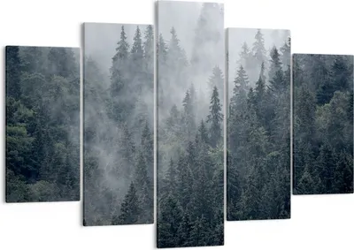 Produktbild von Bild auf Leinwand - Leinwandbild - Wald Baum Natur - 150x100cm - Wand Bild - Wanddeko - Wandbilder - Leinwanddruck - Bilder - Kunstdruck - Wanddekoration - Leinwand bilder - Wandkunst - EA150x100-4074