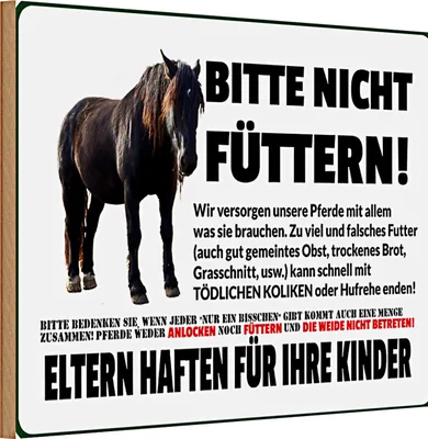 Produktbild von Holzschild Spruch Verbotsschild 30x20cm bitte nicht füttern