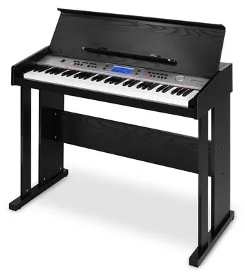 Image de Schubert Carnegy-61 - Keyboard, E-Piano, 61 Tasten, 100 Rhythmen, 136 Instrumente, 8 Demosongs, Aufnahme-Funktion, Lernfunktion, Stereo-Lautsprecher, Kopfhörer-Ausgang, Doppelfunktion, schwarz