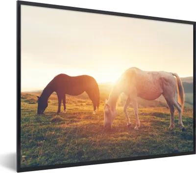 Produktbild von MuchoWow® Gerahmtes Poster Pferde - Sonne - Tiere 80x60 cm - Poster mit Schwarzem Bilderrahmen Wandposter Rahmen Foto Bilder - Schwarzem - Mit Gestell