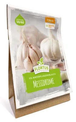 Artikelbild 4 von 'XXL Winterpflanzknoblauch Messidrome' aus der Kategorie Winterpflanzknoblauch