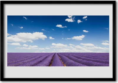 Produktbild von Bild 100x70 MDF-Rahmen Wandkunst Wiese Blumen Natur Pflanze