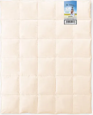 Image de Daunendecke 135x200 AMZ MR. PILLOW 60% 1,7kg crème