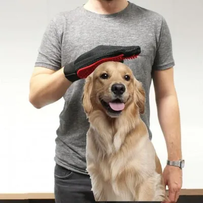Image de Gant de brossage et toilettage pour chiens et chats