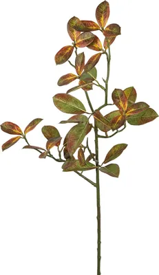 Produktbild von Fink BLATT, Kunstblume, synthetische Faser, grün, braun, H. 78 cm Höhe: 78.00 cm 185128