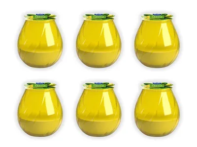 Produktbild von 6er Set Citronella Duftkerzen im Glas Gelbe Windlichter für den Außenbereich
