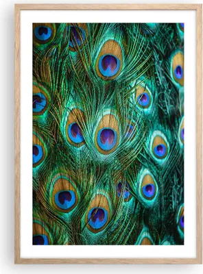 Produktbild von Gerahmtes Poster - Rahmen in heller Eiche - Pfauen Feder Makro - 50x70 cm - Wand Bild - Wanddeko - Wandbilder - Wandposter - Bilderrahmen - Bilder - Kunstdruck - Wandbild - P2NPA50x70-4159