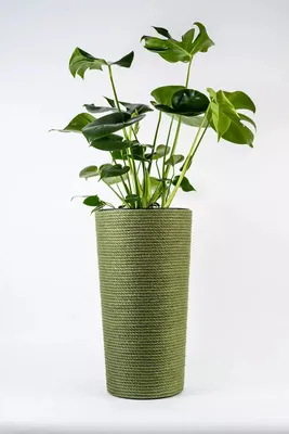 Zdjęcie produktu dla Doniczka jutowa zielona z wkładem 32x57 cm - ręcznie robiona ADONI