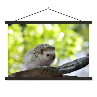 Produktbild von MuchoWow® Textilposter Kleiner Igel im Baum 150x100 cm mit schwarzem Rahmen - Schlafzimmer