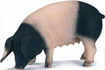Produktbild von Schleich 13612 Schwäbisch-Hällisches Schwein