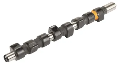 Image de Arbre à cames (9 mm pour pompe 4070001/23) : 5950297
