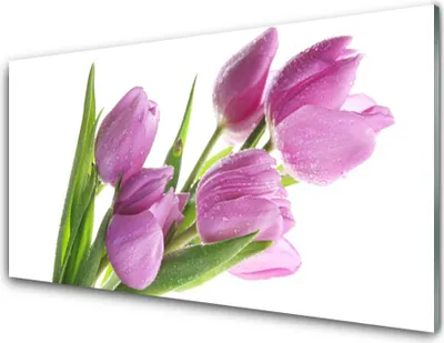 Produktbild von Acrylglasbilder 100x50 Wandbild Druck Tulpen Pflanzen