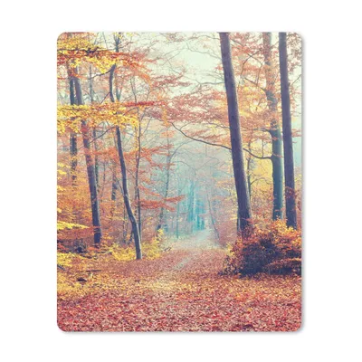 Produktbild von MuchoWow® Mauspad Mousepad Wald - Herbst - Laub 30x40 cm - Mousepads - Maus Mat - Pad - Mausunterlage - Mausmatten