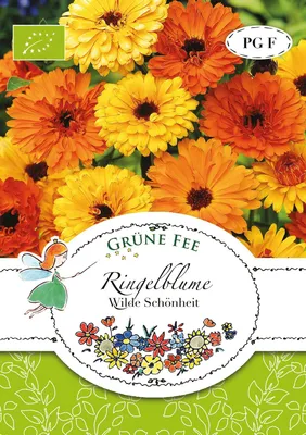 Artikelbild 1 von 'BIO Ringelblume Wilde Schönheit' aus der Kategorie Ringelblumensamen