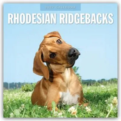 Produktbild von Rhodesian Ridgebacks - Rhodesian Ridgeback 2027 - 16-Monatskalender
