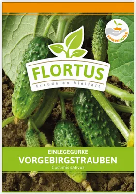 Produktbild von Einlegegurke Vorgebirgstrauben | Einlegegurkensamen von FLORTUS