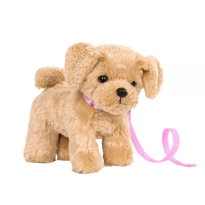 Zdjęcie produktu dla Nasze pokolenie - Goldendoodle Welpe - movementlich