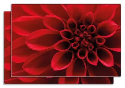 Produktbild von Wallario Frühstücksbrettchen 2er Set aus Glas, je 20 x 30 cm, mit rutschfesten Füßen, Motiv Rote Dahlienblüte in Nahaufnahme