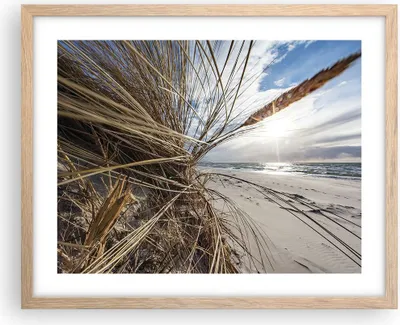 Produktbild von Gerahmtes Poster - Rahmen in heller Eiche - Küste Perspektive Gras - 50x40 cm - Wand Bild - Wanddeko - Wandbilder - Kunstposter - Wandposter - Bilderrahmen - Bilder - Kunstdruck - P2NAA50x40-4526