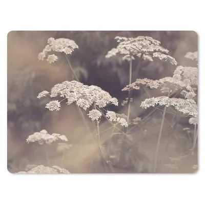 Produktbild von MuchoWow® Mauspad Mousepad Pflanze - Weiß - Natur - Blumen 40x30 cm - Mousepads - Maus Mat - Pad - Mausunterlage - Anti Rutsch