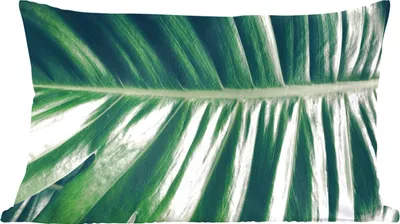 Produktbild von MuchoWow® Zierkissen Sofakissen Wohnzimmer Dekokissen 50x30 cm Blätter - Tropisch - Dschungel - Wohnzimmerdekoration - Polster mit Photo