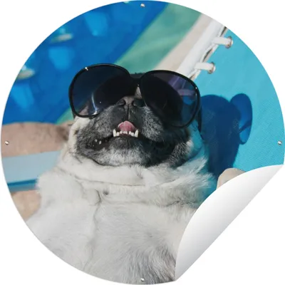Produktbild von MuchoWow® Gartenposter Outdoor-Poster Rund Hund - Lustig - Sonnenbrille - Kinder - Jungen - Mädchen - Kind Ø 120 cm Gartendeko Rundes Poster draußen
